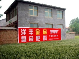 鹤峰如何让墙体广告展现最大化效果