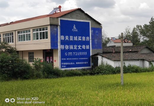 鹤峰决定墙体广告价格的因素有哪些？